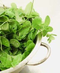 Peppermint Oil